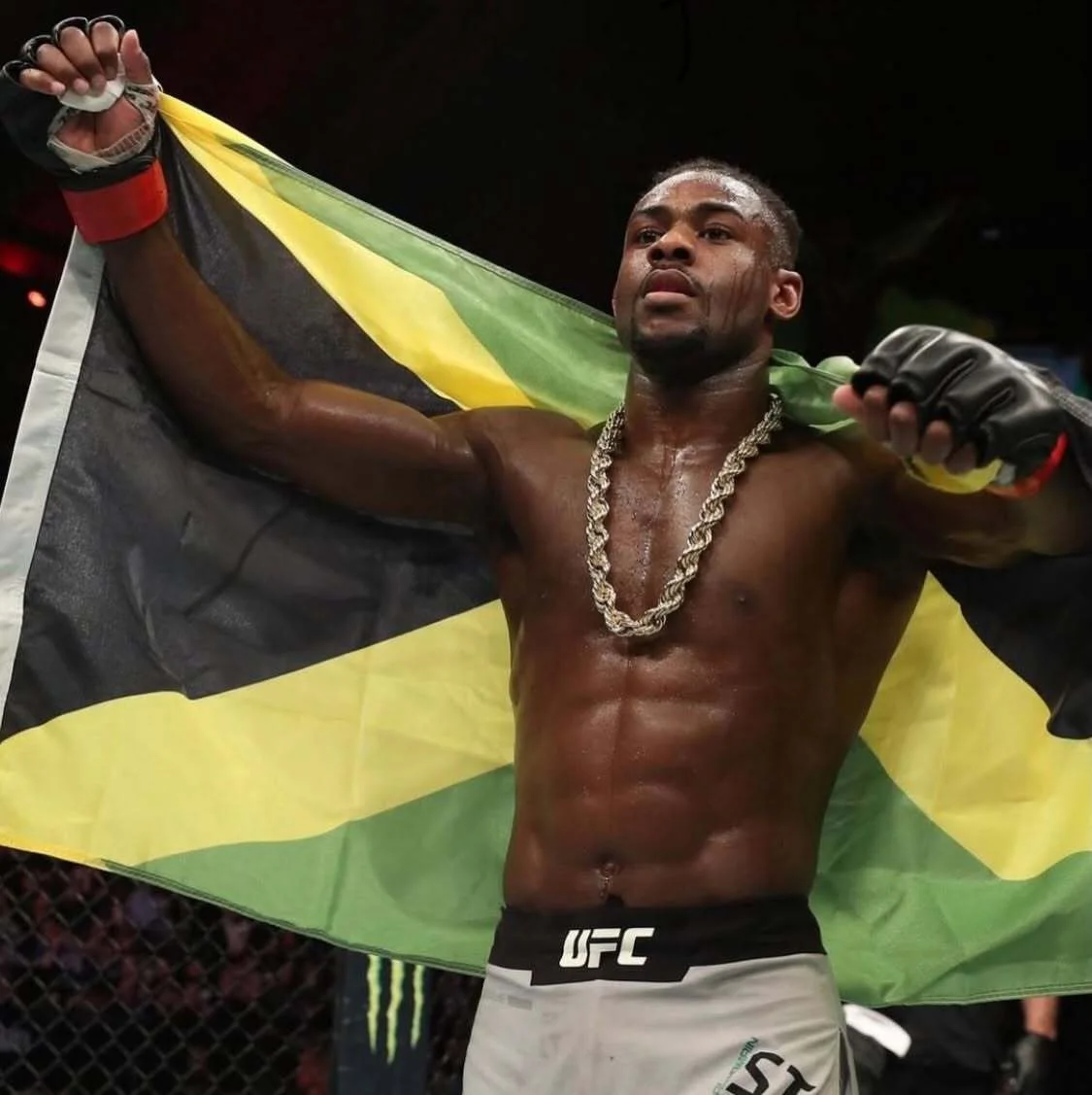 Aljamain Sterling holding the Jamaican flag after a fight